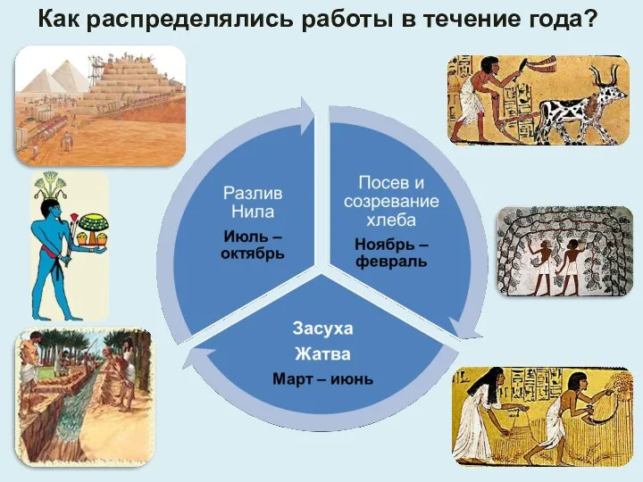 Как распределялись работы в течение года?