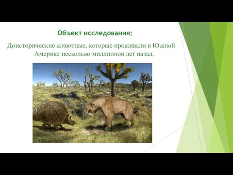 Объект исследования: Доисторические животные, которые проживали в Южной Америке несколько миллионов лет назад.