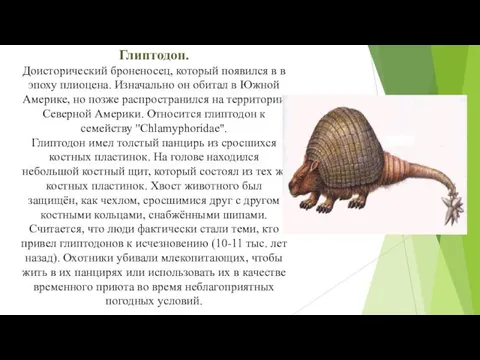 Глиптодон. Доисторический броненосец, который появился в в эпоху плиоцена. Изначально