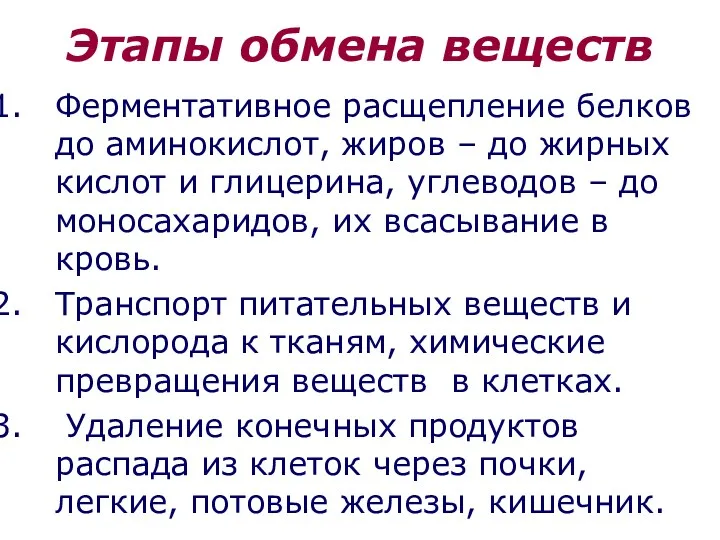 Этапы обмена веществ Ферментативное расщепление белков до аминокислот, жиров –