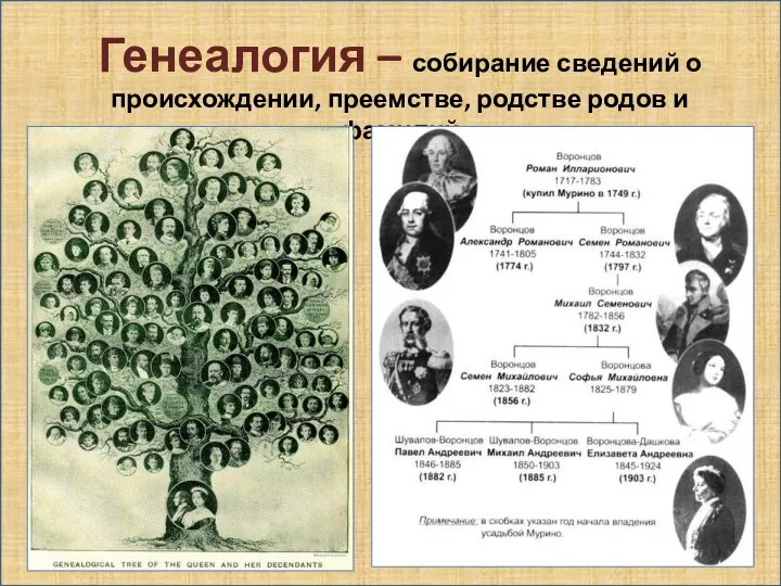 Генеалогия – собирание сведений о происхождении, преемстве, родстве родов и фамилий