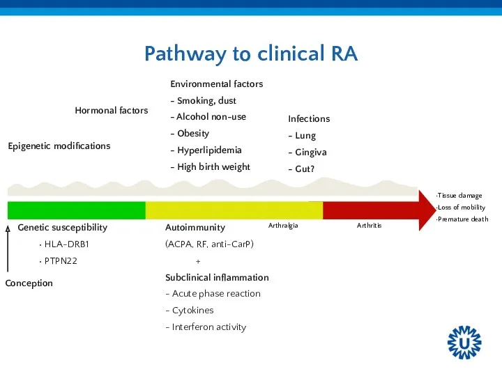 Pathway to clinical RA