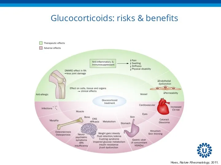 Glucocorticoids: risks & benefits Hoes, Nature Rheumatology, 2011.