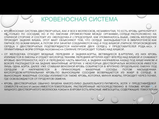 КРОВЕНОСНАЯ СИСТЕМА КРОВЕНОСНАЯ СИСТЕМА ДВУСТВОРЧАТЫХ, КАК И ВСЕХ МОЛЛЮСКОВ, НЕЗАМКНУТАЯ,