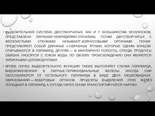 ВЫДЕЛИТЕЛЬНАЯ СИСТЕМА ДВУСТВОРЧАТЫХ, КАК И У БОЛЬШИНСТВА МОЛЛЮСКОВ, ПРЕДСТАВЛЕНА ПАРНЫМИ