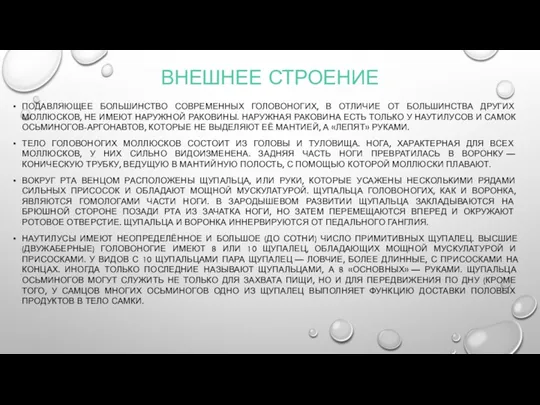 ВНЕШНЕЕ СТРОЕНИЕ ПОДАВЛЯЮЩЕЕ БОЛЬШИНСТВО СОВРЕМЕННЫХ ГОЛОВОНОГИХ, В ОТЛИЧИЕ ОТ БОЛЬШИНСТВА