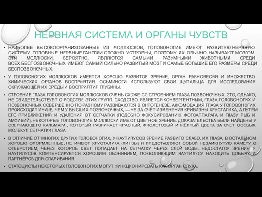 НЕРВНАЯ СИСТЕМА И ОРГАНЫ ЧУВСТВ НАИБОЛЕЕ ВЫСОКООРГАНИЗОВАННЫЕ ИЗ МОЛЛЮСКОВ, ГОЛОВОНОГИЕ