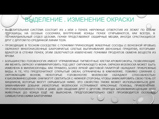 ВЫДЕЛЕНИЕ . ИЗМЕНЕНИЕ ОКРАСКИ ВЫДЕЛИТЕЛЬНАЯ СИСТЕМА СОСТОИТ ИЗ 4 ИЛИ