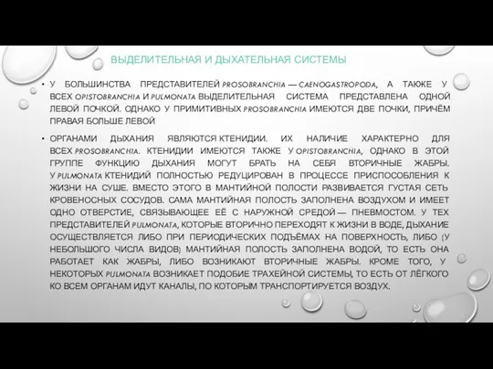 ВЫДЕЛИТЕЛЬНАЯ И ДЫХАТЕЛЬНАЯ СИСТЕМЫ У БОЛЬШИНСТВА ПРЕДСТАВИТЕЛЕЙ PROSOBRANCHIA — CAENOGASTROPODA,