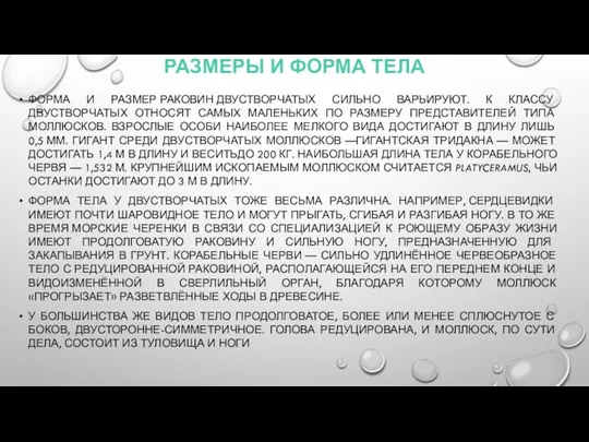 РАЗМЕРЫ И ФОРМА ТЕЛА ФОРМА И РАЗМЕР РАКОВИН ДВУСТВОРЧАТЫХ СИЛЬНО