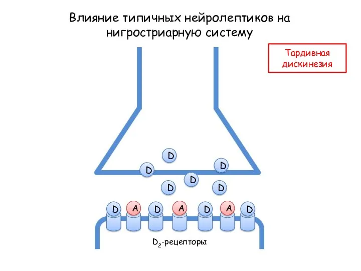 Влияние типичных нейролептиков на нигростриарную систему A A A D