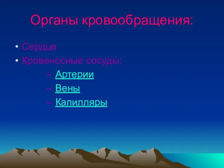 Органы кровообращения: Сердце Кровеносные сосуды: Артерии Вены Капилляры