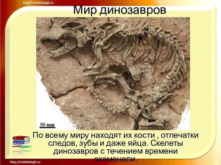 Мир динозавров По всему миру находят их кости , отпечатки