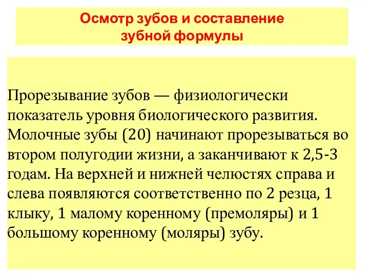 Осмотр зубов и составление зубной формулы Прорезывание зубов — физиологически