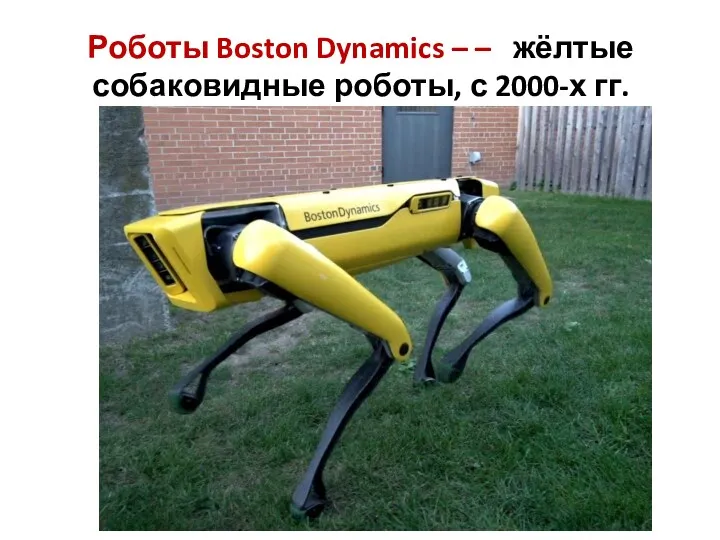 Роботы Boston Dynamics – – жёлтые собаковидные роботы, с 2000-х гг.