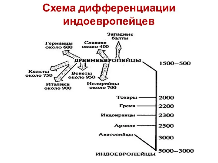 Схема дифференциации индоевропейцев