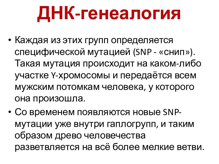 ДНК-генеалогия Каждая из этих групп определяется специфической мутацией (SNP -