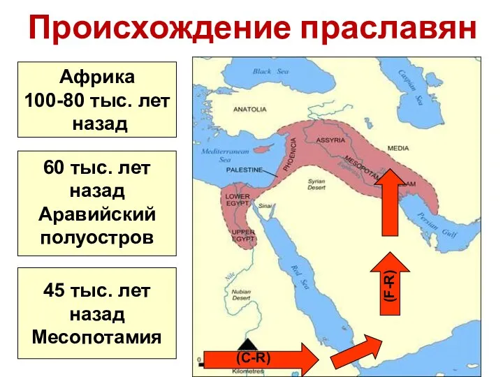 Происхождение праславян Африка 100-80 тыс. лет назад 60 тыс. лет