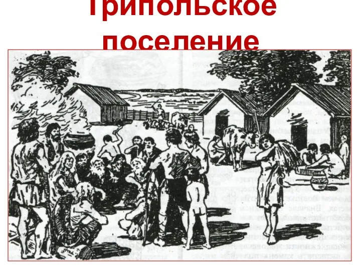 Трипольское поселение