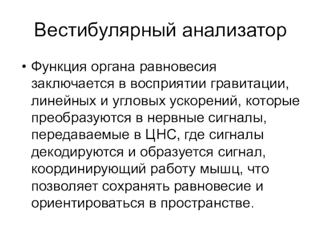 Вестибулярный анализатор Функция органа равновесия заключается в восприятии гравитации, линейных