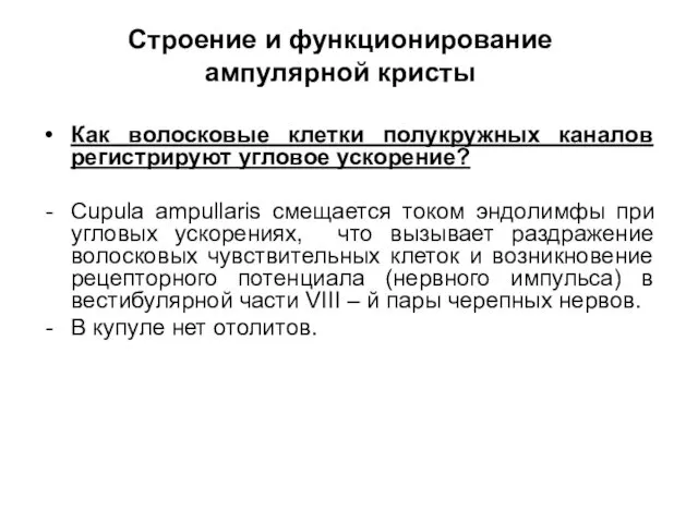 Строение и функционирование ампулярной кристы Как волосковые клетки полукружных каналов