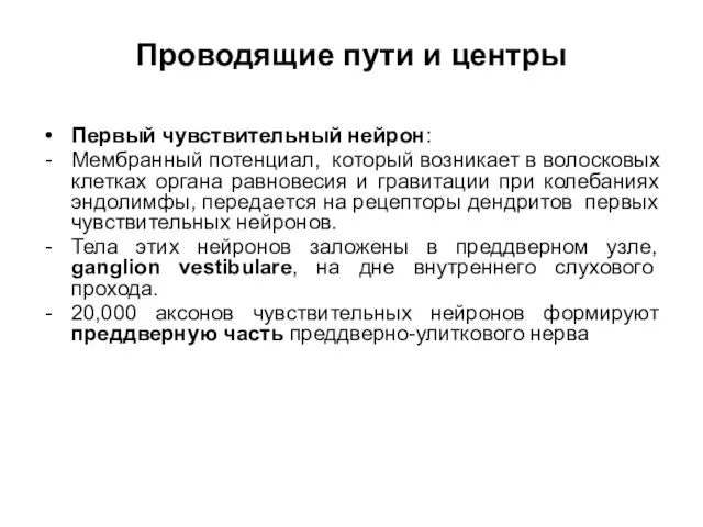 Проводящие пути и центры Первый чувствительный нейрон: Мембранный потенциал, который