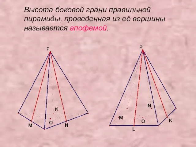 Высота боковой грани правильной пирамиды, проведенная из её вершины называется апофемой.