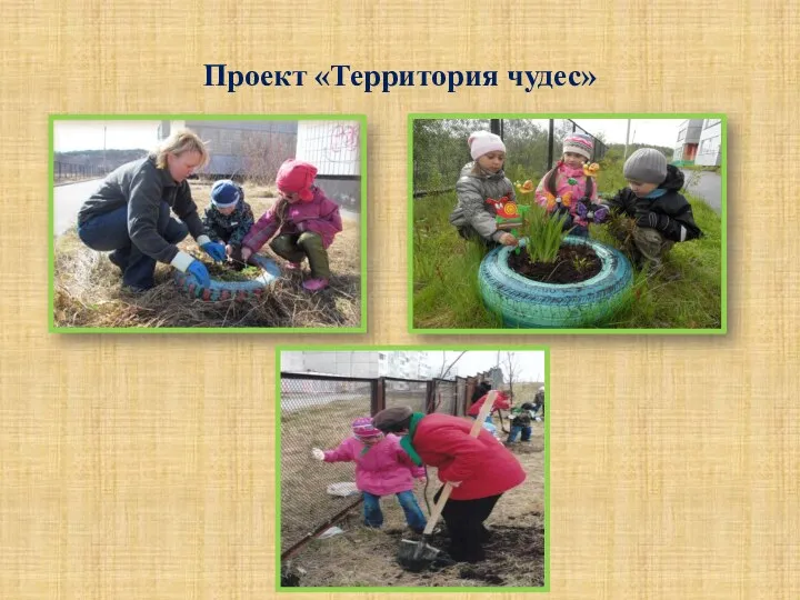 Проект «Территория чудес»