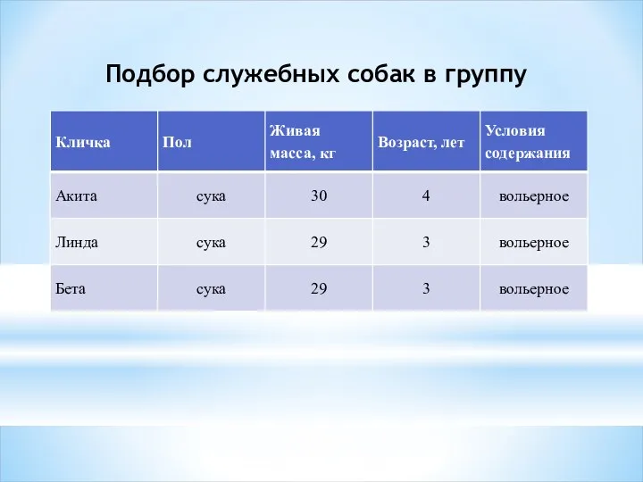 Подбор служебных собак в группу