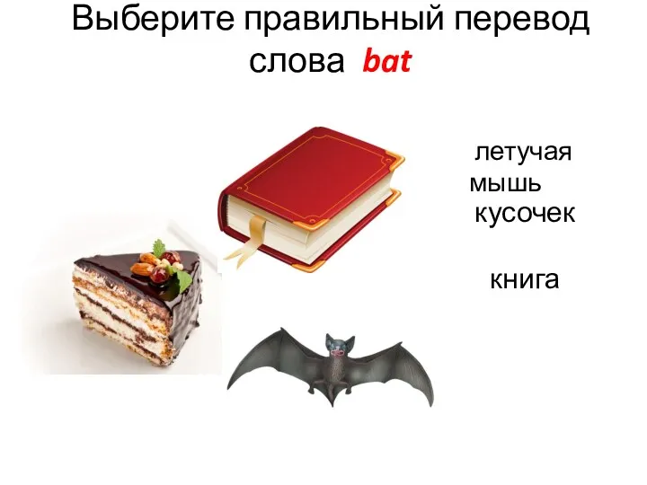 Выберите правильный перевод слова bat книга летучая мышь кусочек