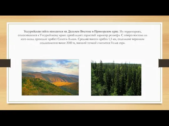 Уссурийская тайга находится на Дальнем Востоке в Приморском крае. На территориях, относившихся к