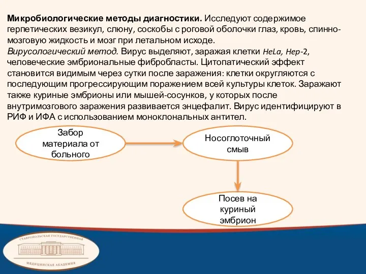 Микробиологические методы диагностики. Исследуют содержимое герпетических везикул, слюну, соскобы с