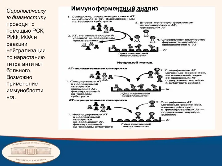 Серологическую диагностику проводят с помощью РСК, РИФ, ИФА и реакции