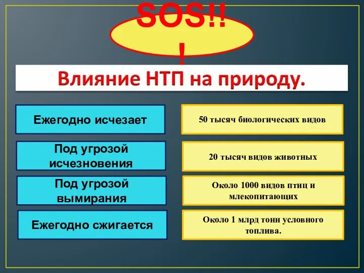 SOS!!! Ежегодно исчезает 50 тысяч биологических видов Под угрозой исчезновения