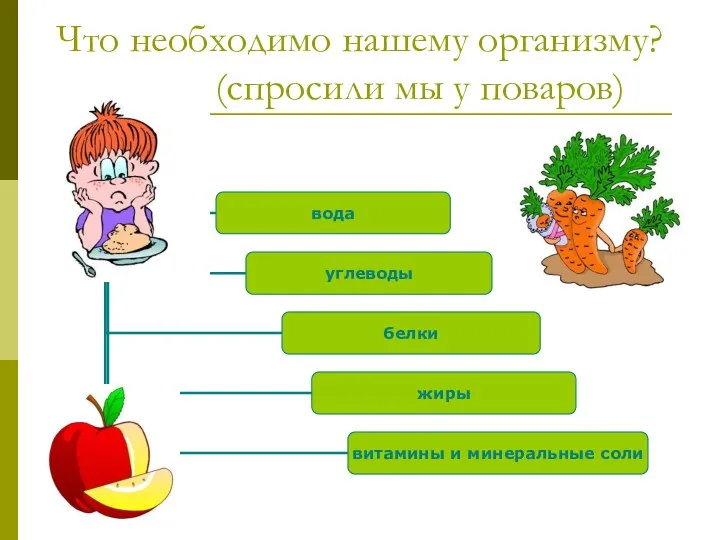 Что необходимо нашему организму? (спросили мы у поваров)