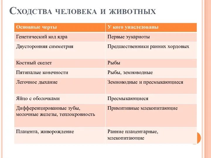 Сходства человека и животных