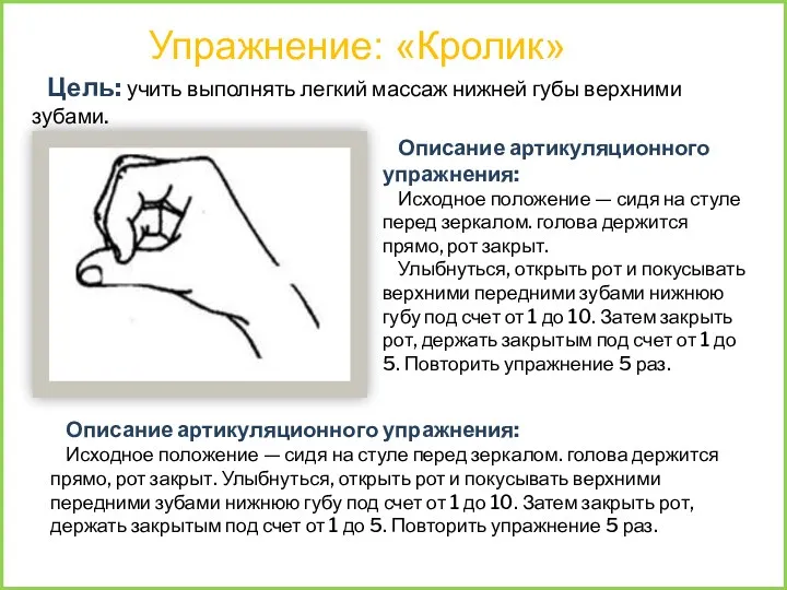 Упражнение: «Кролик» Цель: учить выполнять легкий массаж нижней губы верхними зубами. Описание артикуляционного