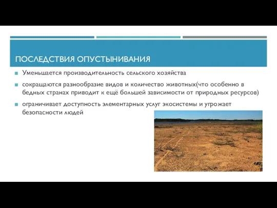 ПОСЛЕДСТВИЯ ОПУСТЫНИВАНИЯ Уменьшается производительность сельского хозяйства сокращаются разнообразие видов и