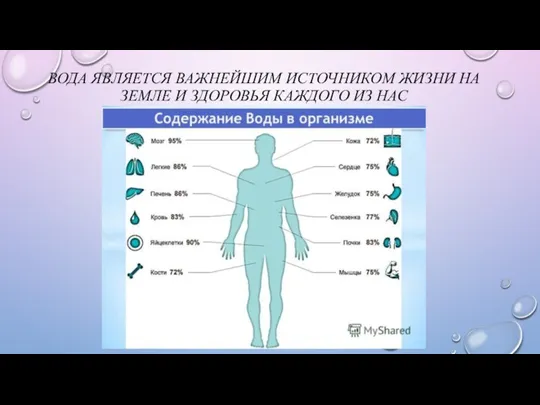 ВОДА ЯВЛЯЕТСЯ ВАЖНЕЙШИМ ИСТОЧНИКОМ ЖИЗНИ НА ЗЕМЛЕ И ЗДОРОВЬЯ КАЖДОГО ИЗ НАС