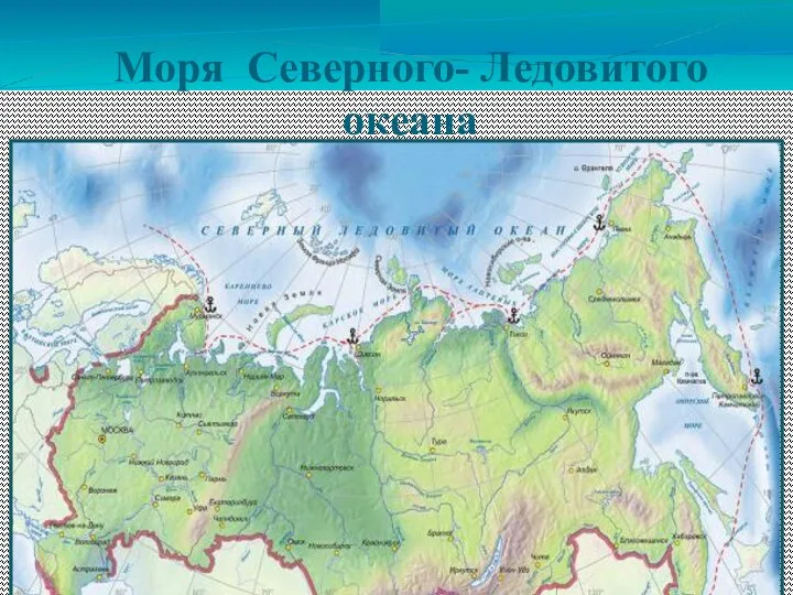 Моря Северного- Ледовитого океана