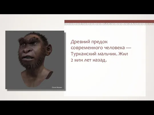 Древний предок современного человека — Турканский мальчик. Жил 2 млн лет назад. Cicero Moraes