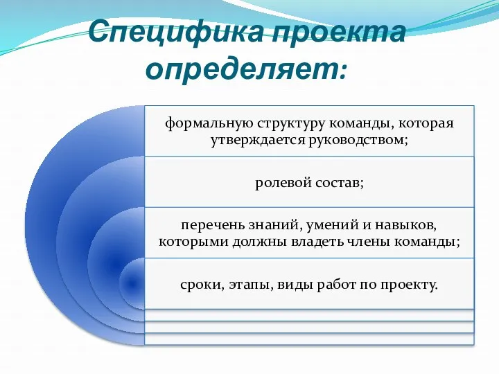 Специфика проекта определяет: