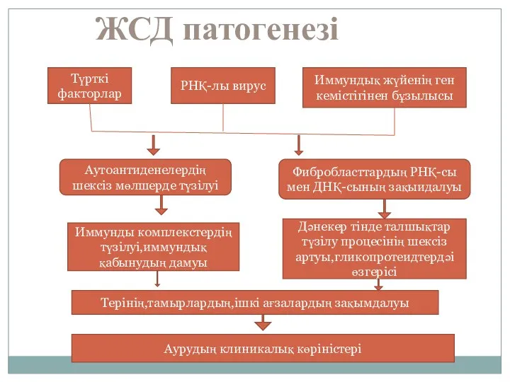 ЖСД патогенезі Түрткі факторлар РНҚ-лы вирус Иммундық жүйенің ген кемістігінен бұзылысы Аутоантиденелердің шексіз