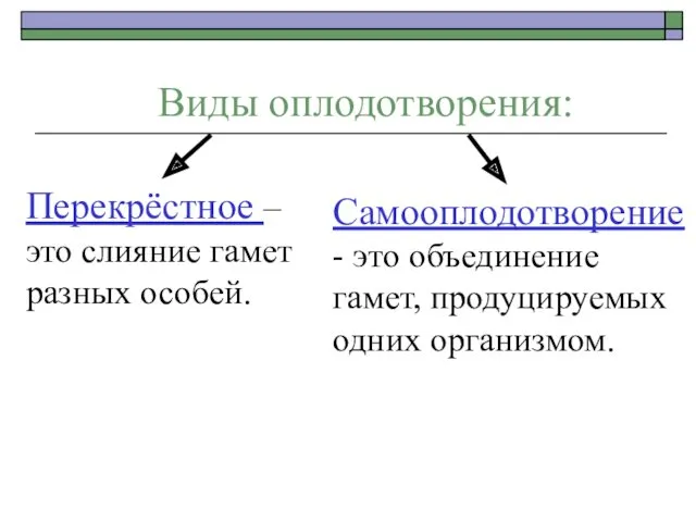 Виды оплодотворения: Перекрёстное – это слияние гамет разных особей. Самооплодотворение