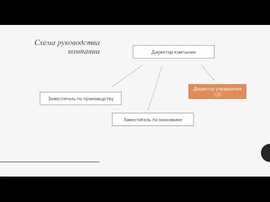 Схема руководства компании Директор компании Заместитель по производству Заместитель по экономике Директор управления СО