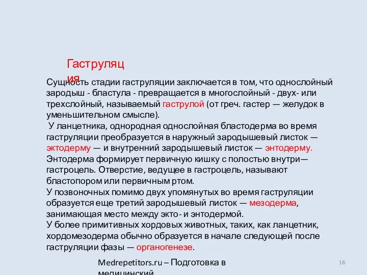 Medrepetitors.ru – Подготовка в медицинский Сущность стадии гаструляции заключается в том, что однослойный