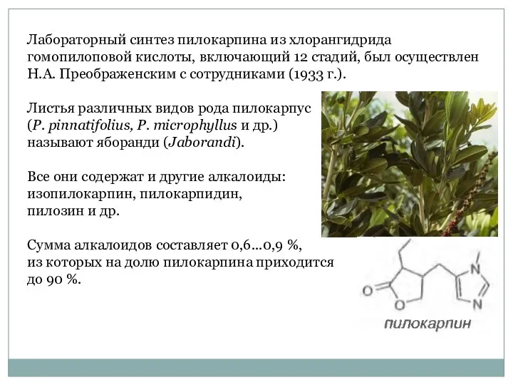 Лабораторный синтез пилокарпина из хлорангидрида гомопилоповой кислоты, включающий 12 стадий,