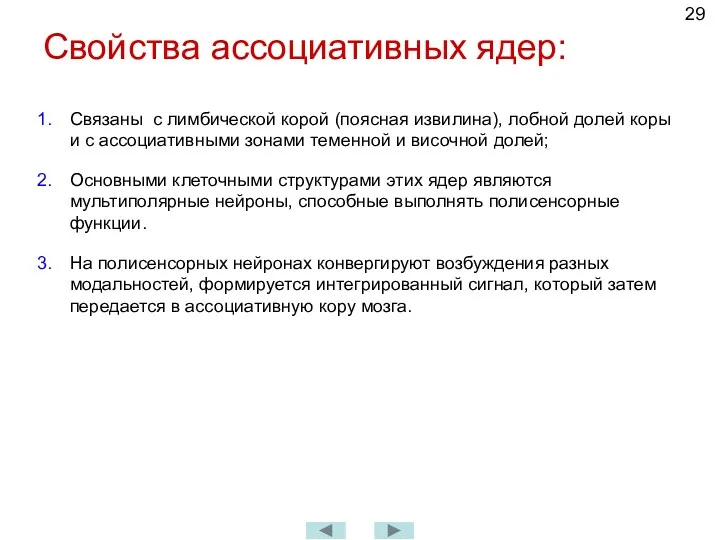 Свойства ассоциативных ядер: Связаны с лимбической корой (поясная извилина), лобной