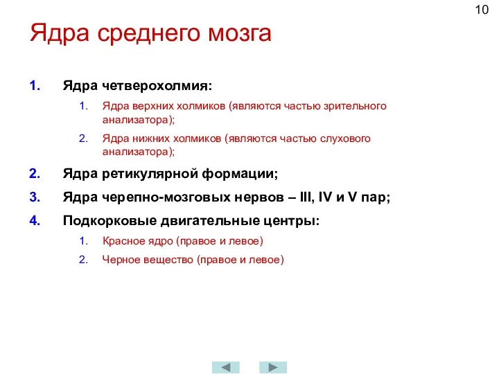 Ядра среднего мозга Ядра четверохолмия: Ядра верхних холмиков (являются частью