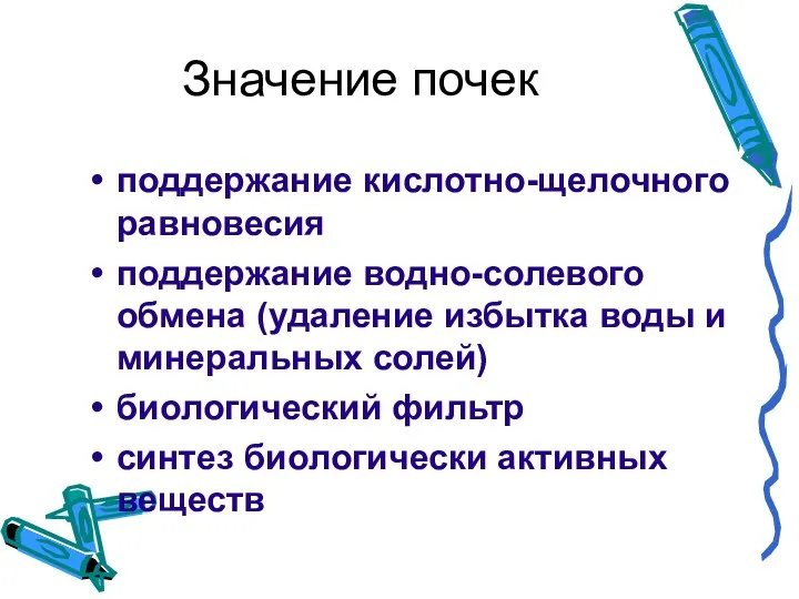 Значение почек поддержание кислотно-щелочного равновесия поддержание водно-солевого обмена (удаление избытка